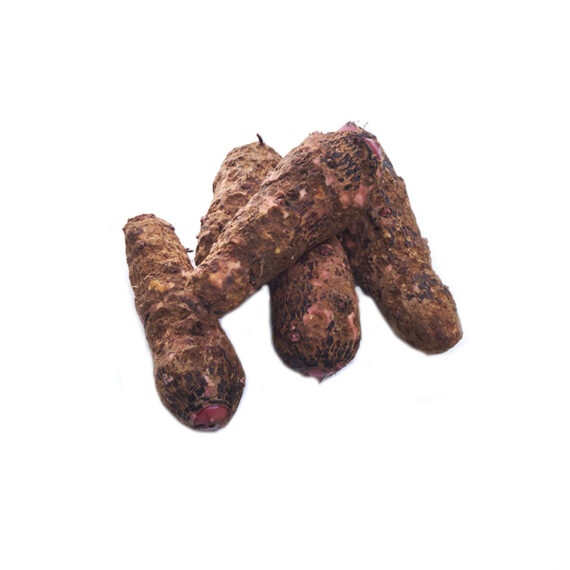 Malanga Fresca 2Lb