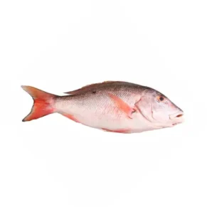 Pescado Pargo Entero 7.9 Lb